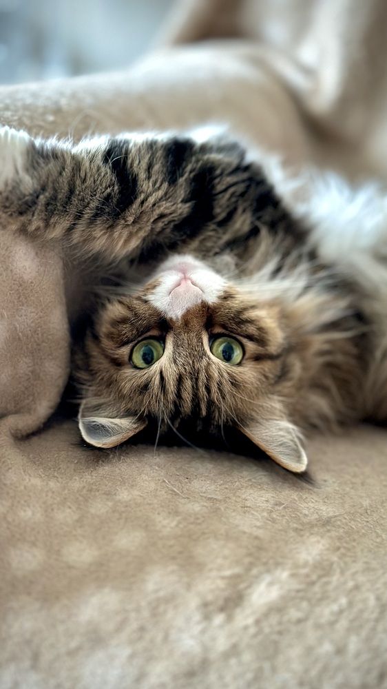 Photograph by Nick Kolosov