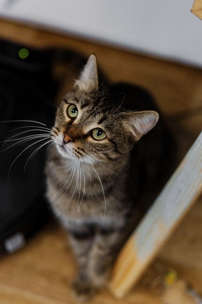 Photograph by Надежда