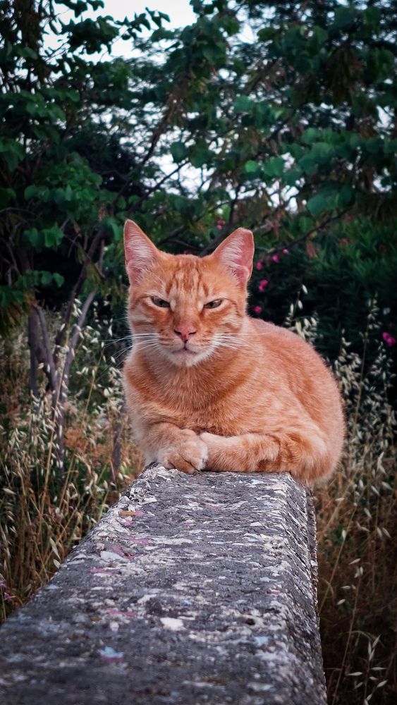 Photograph by Marharita