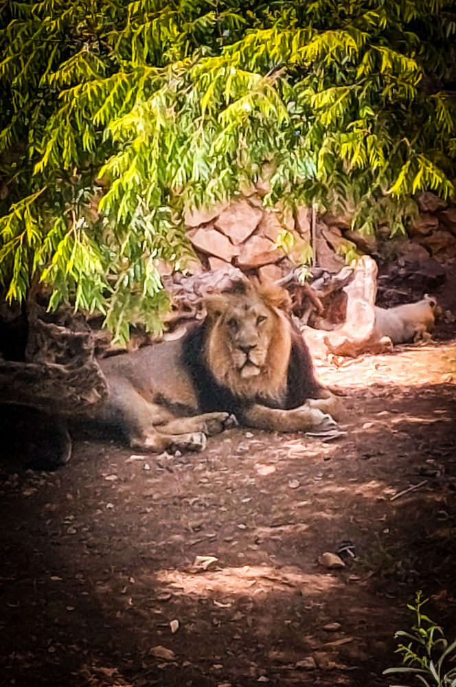 Photograph by Marharita