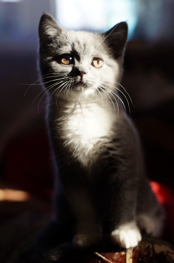 Photograph by Юля Хатыпова