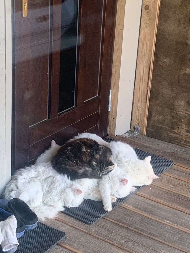 Photograph by Елена