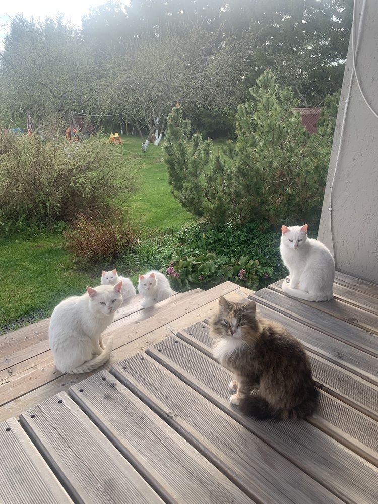 Photograph by Елена