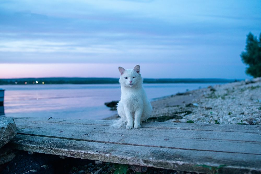 Photograph by Дзюба Нелли