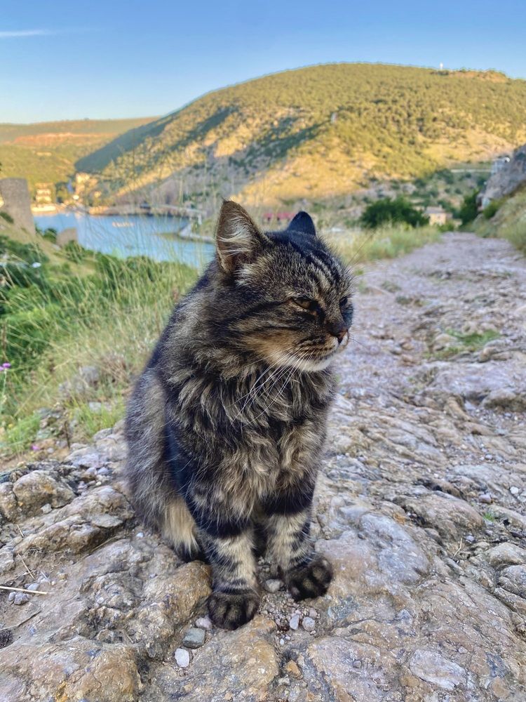 Photograph by Вадим Качанов