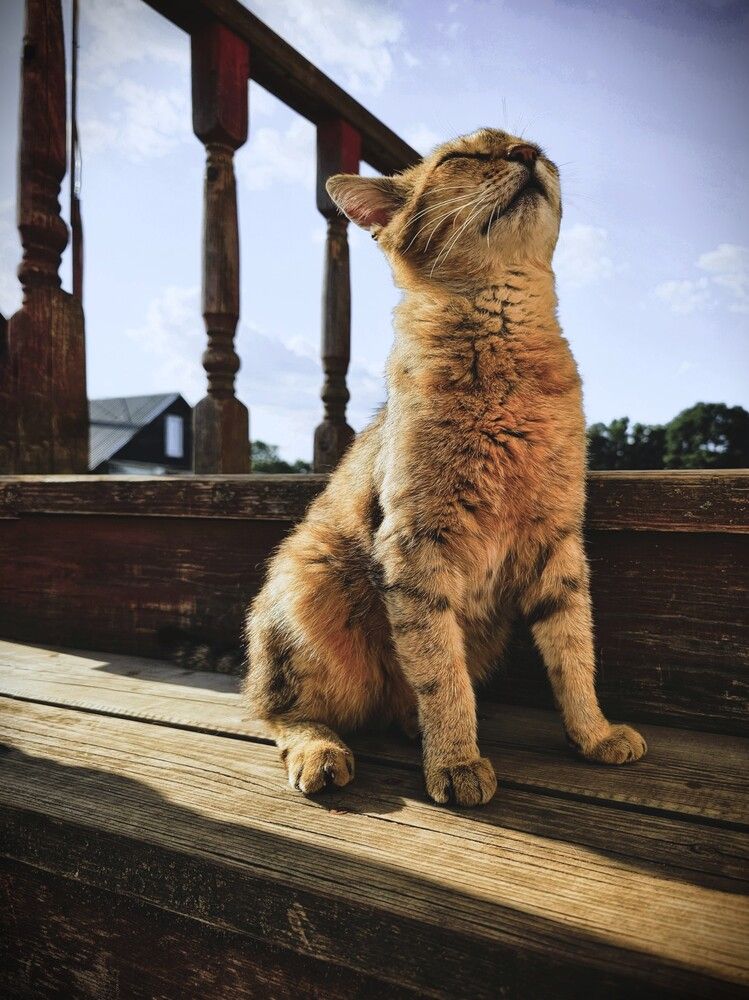 Photograph by Елена Ямнюк