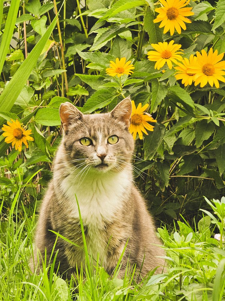 Photograph by Елена Ямнюк