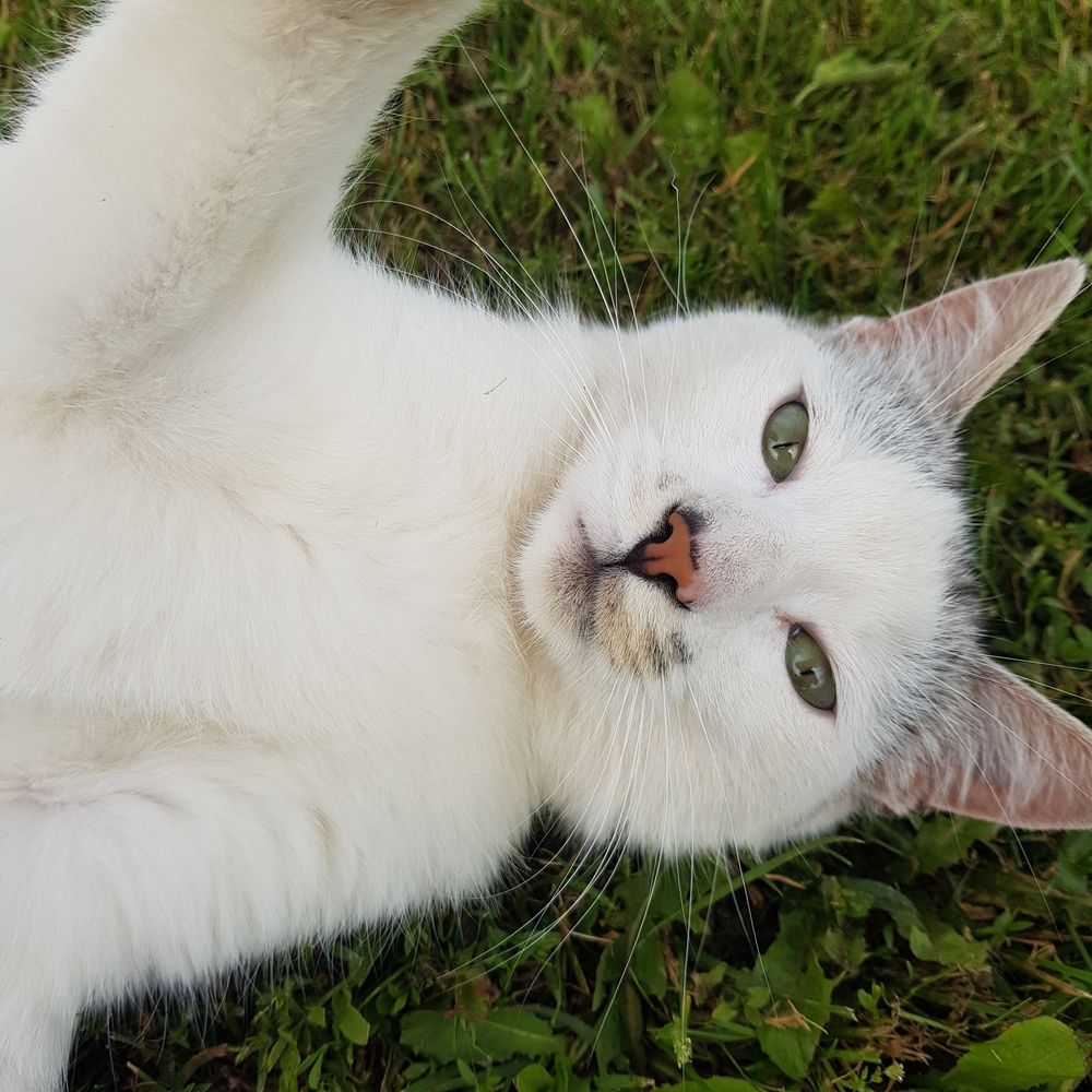 Photograph by Елена Ямнюк