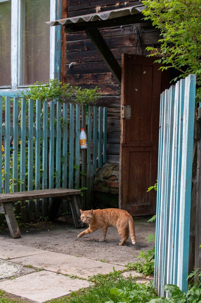 Photograph by Ирина Рыжова