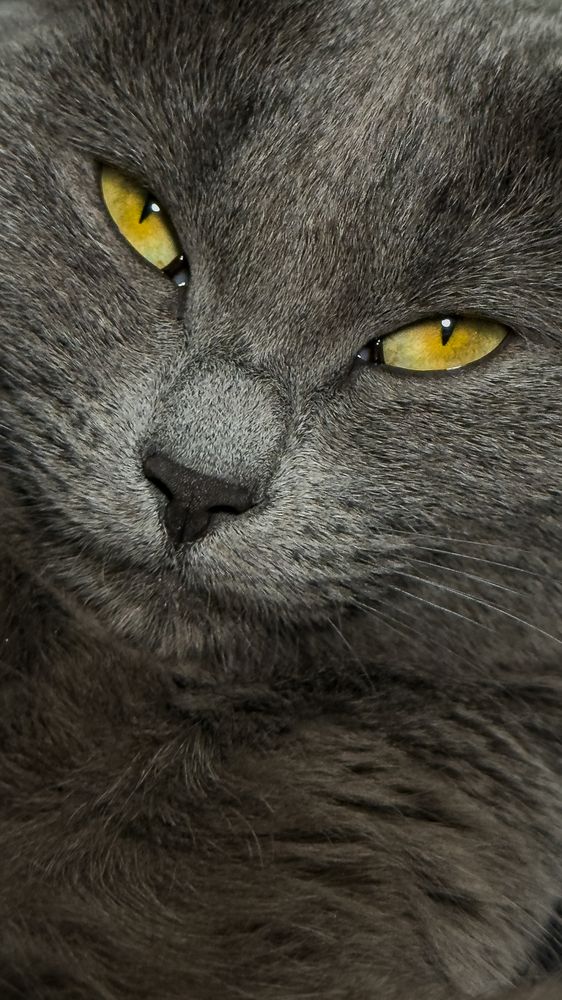 Photograph by Tatiana Grinko