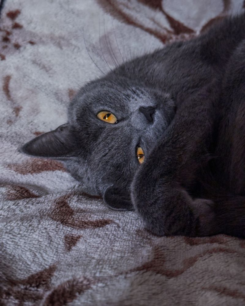 Photograph by Tatiana Grinko