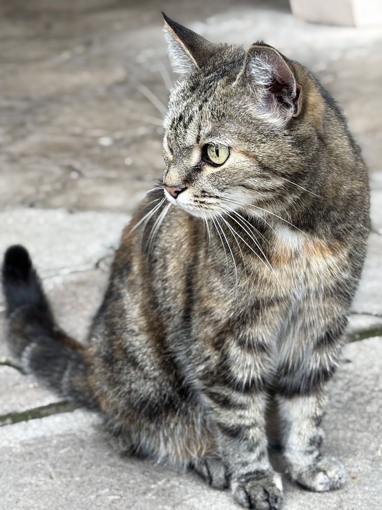 Photograph by Титаренко Людмила