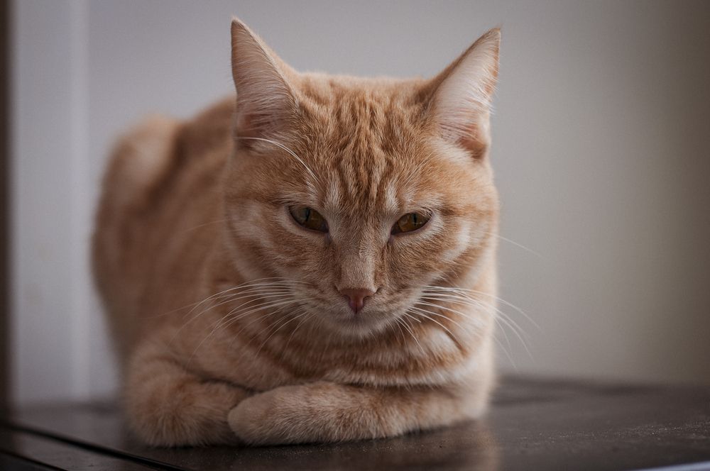 Photograph by Вадим Басов