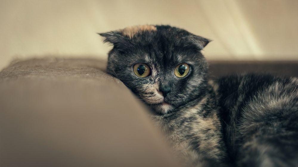 Photograph by Вадим Басов