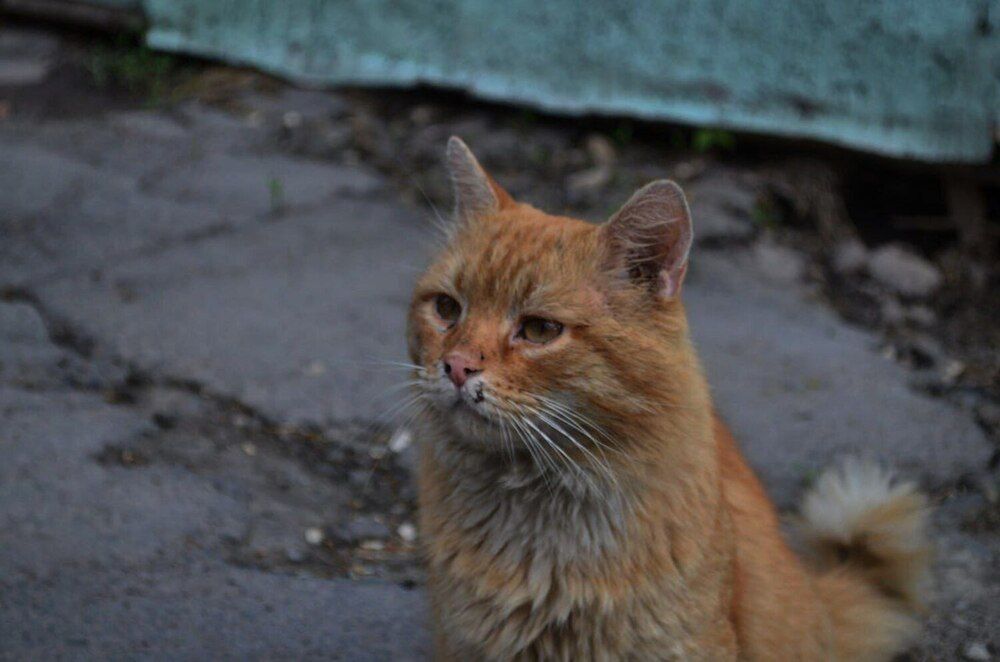 Photograph by Софья Цыбулько