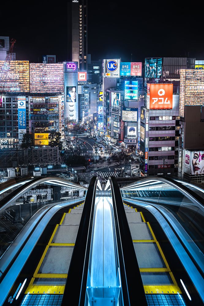 Фотография автора i_ ha__to