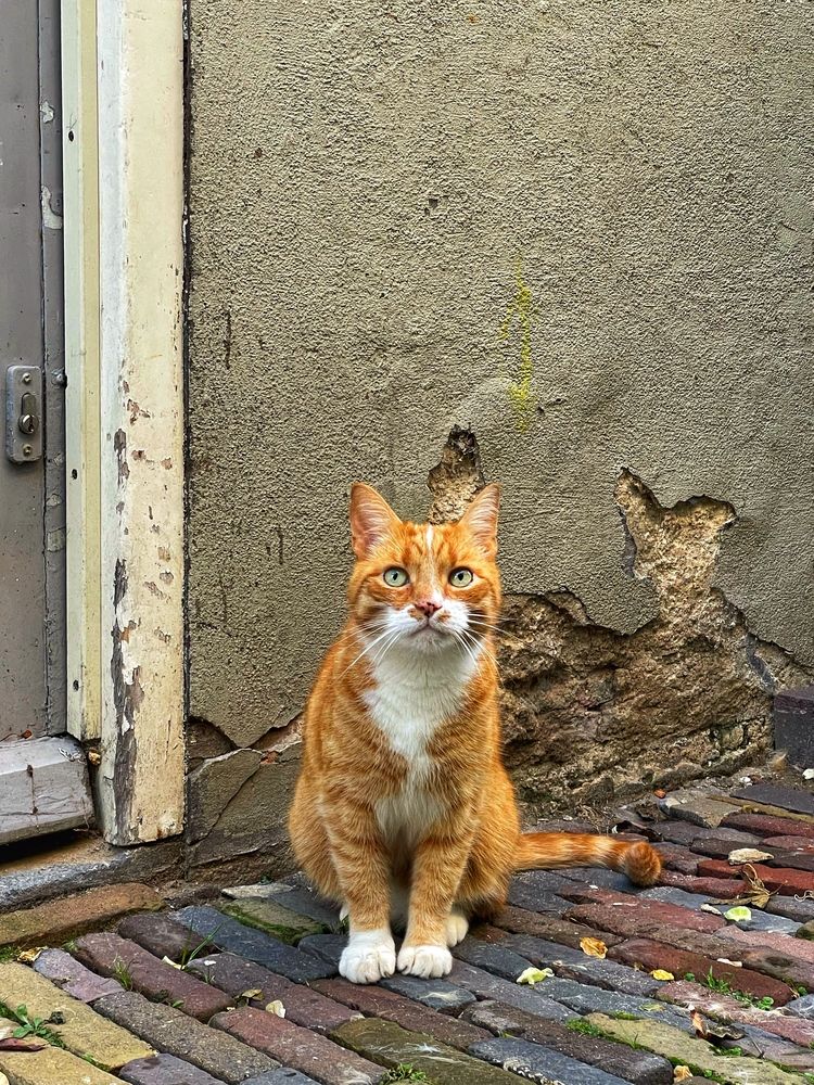 Фотография автора Nadezhda