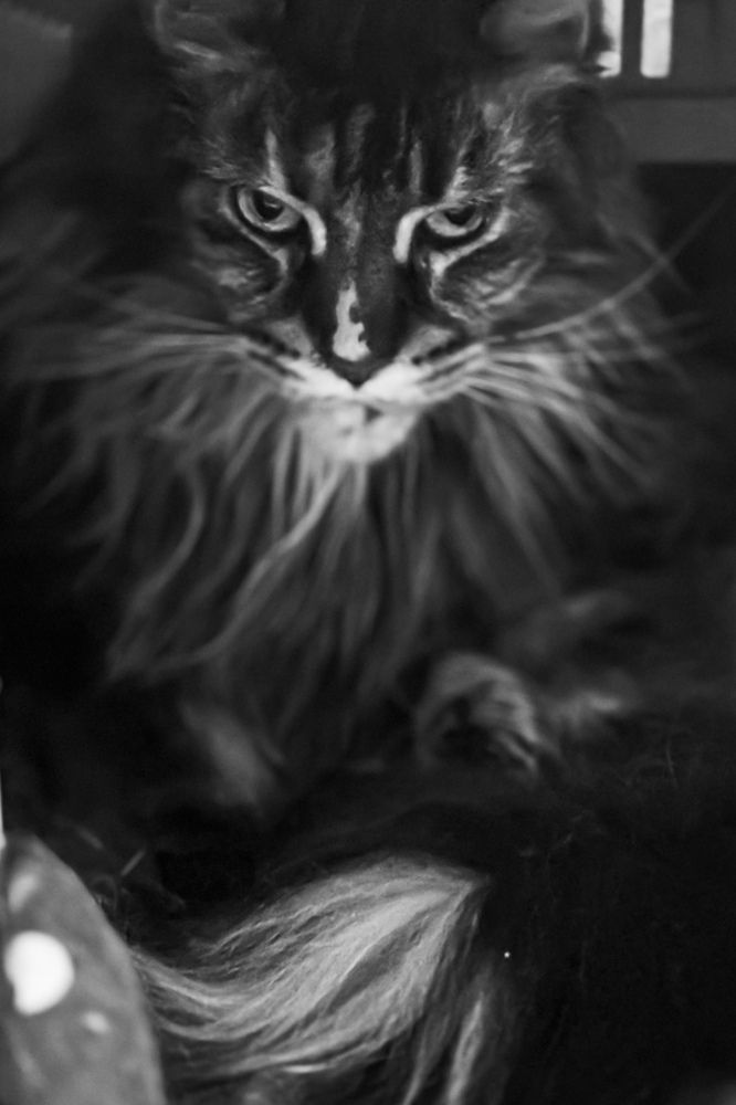 Photograph by Nata Smirnova