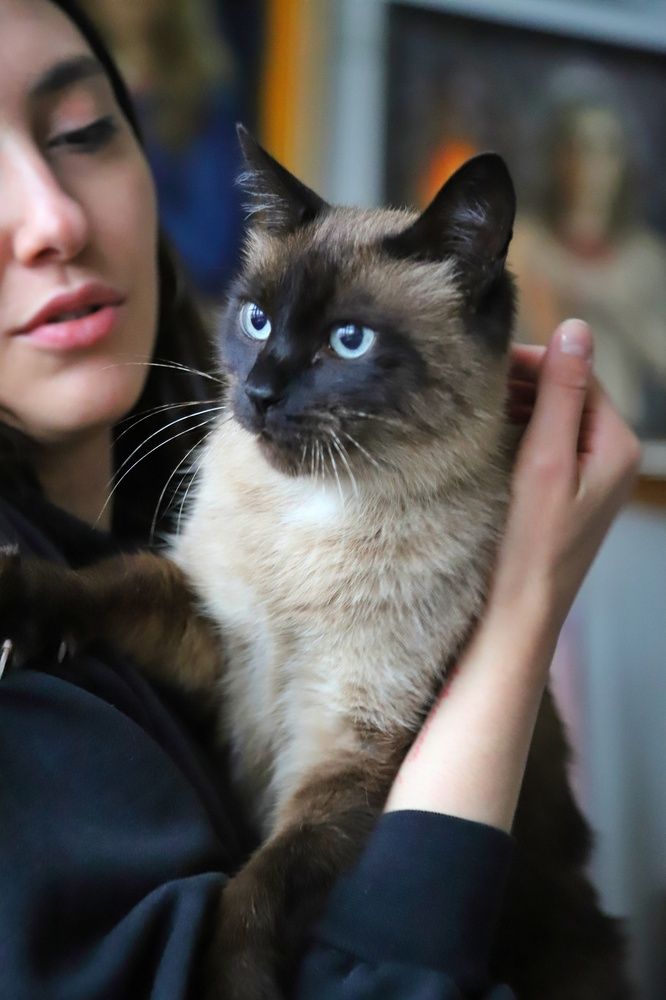 Photograph by Мария Андреева