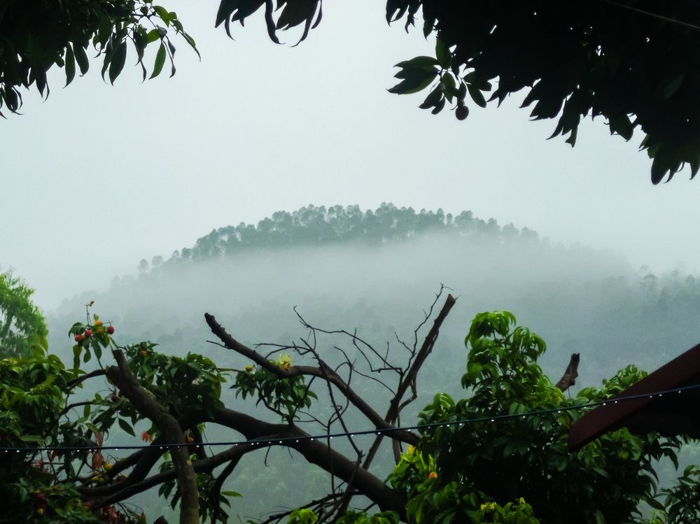 Photograph by OTABIT