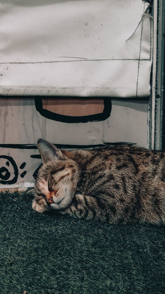 Photograph by Ehsan Fathi