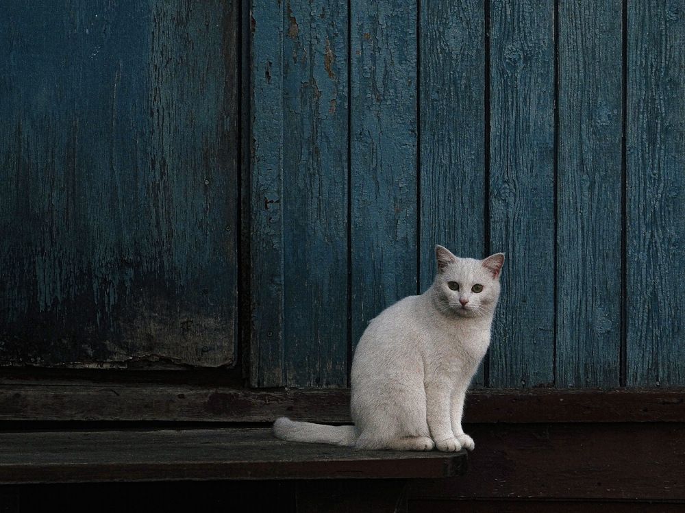 Photograph by Данила Мельников