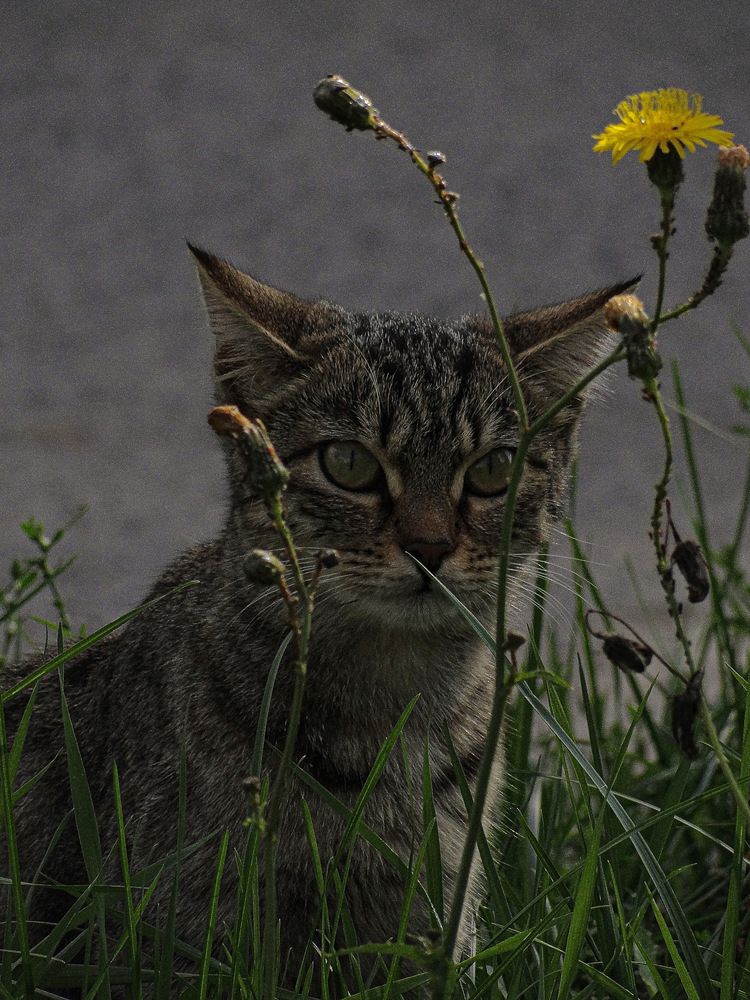 Photograph by Данила Мельников