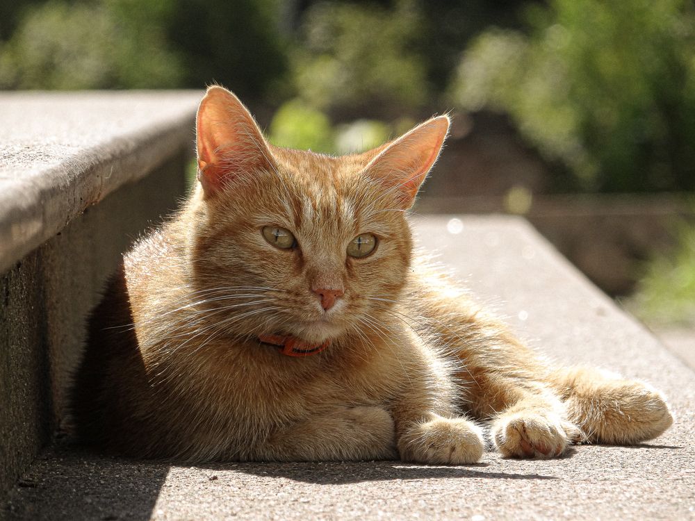 Photograph by Данила Мельников