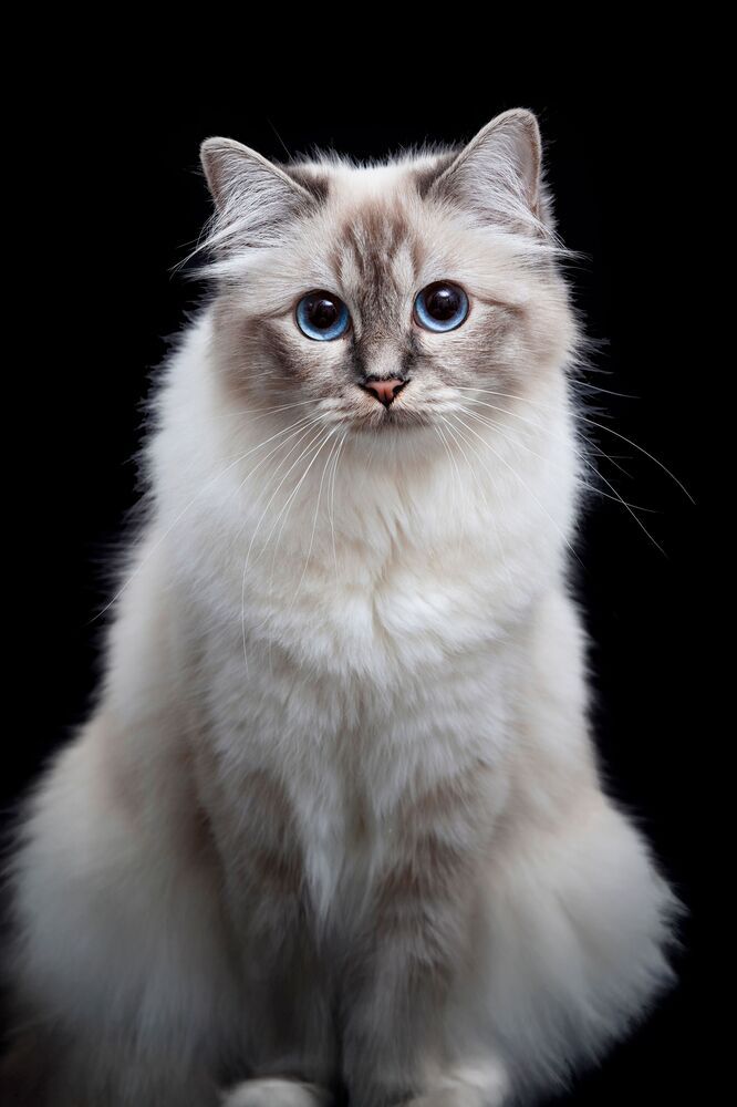 Photograph by Nina Znidersic