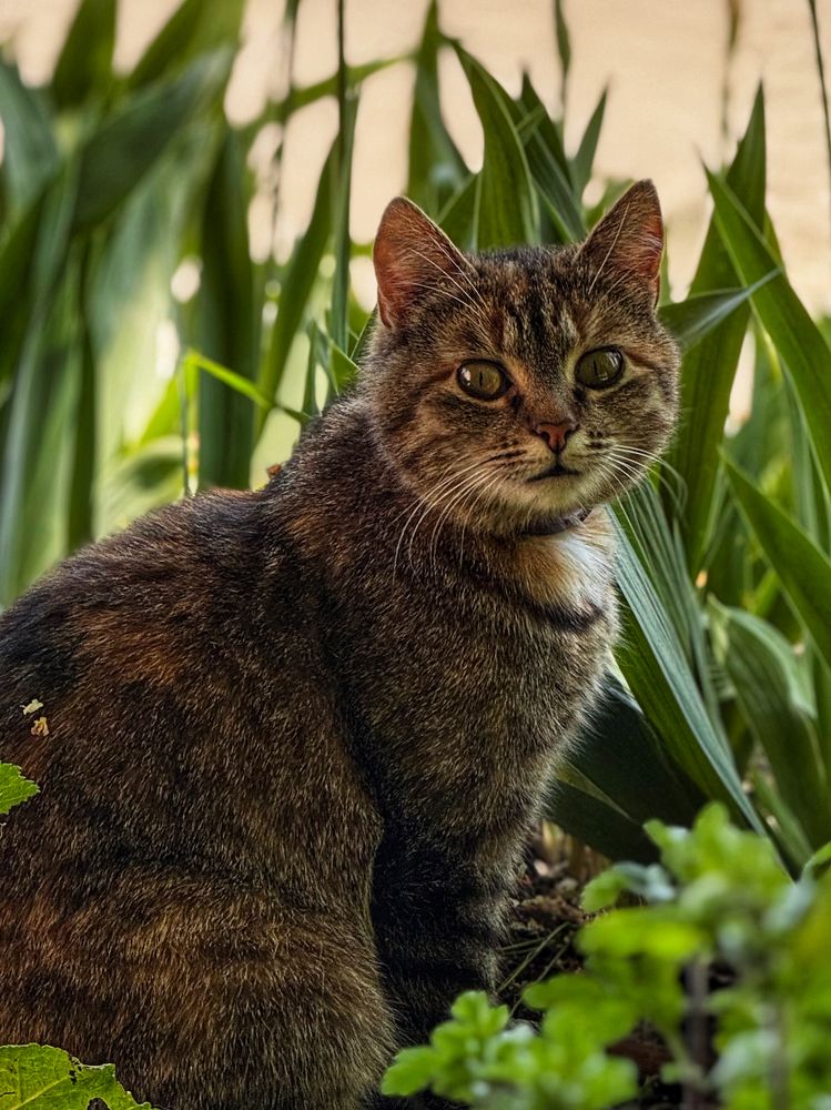 Photograph by Zhanna Kolesnikova