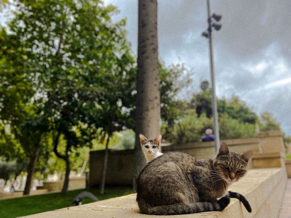 Photograph by Paila Nabieva