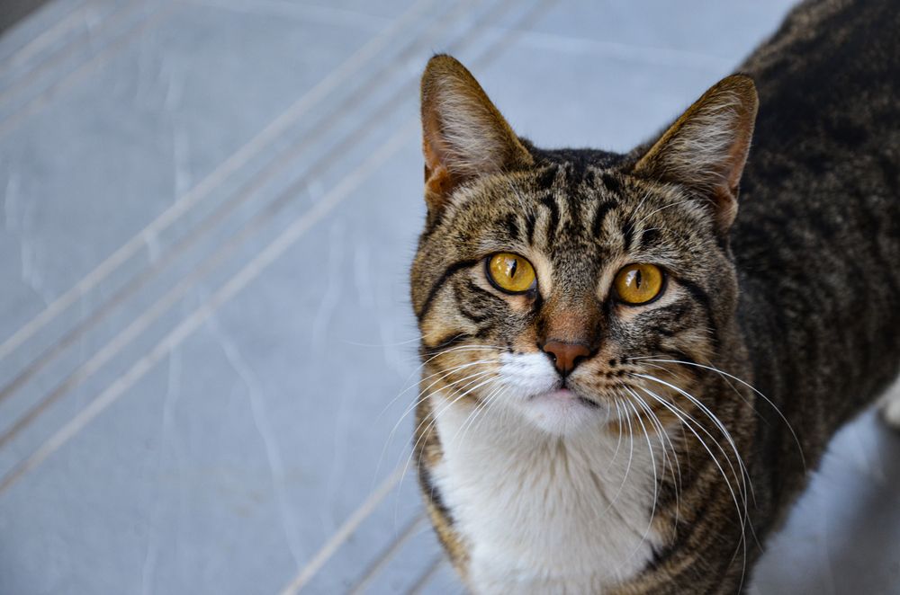 Photograph by Paila Nabieva