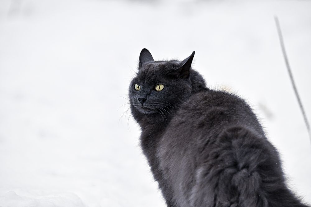 Photograph by Мария Ирешева