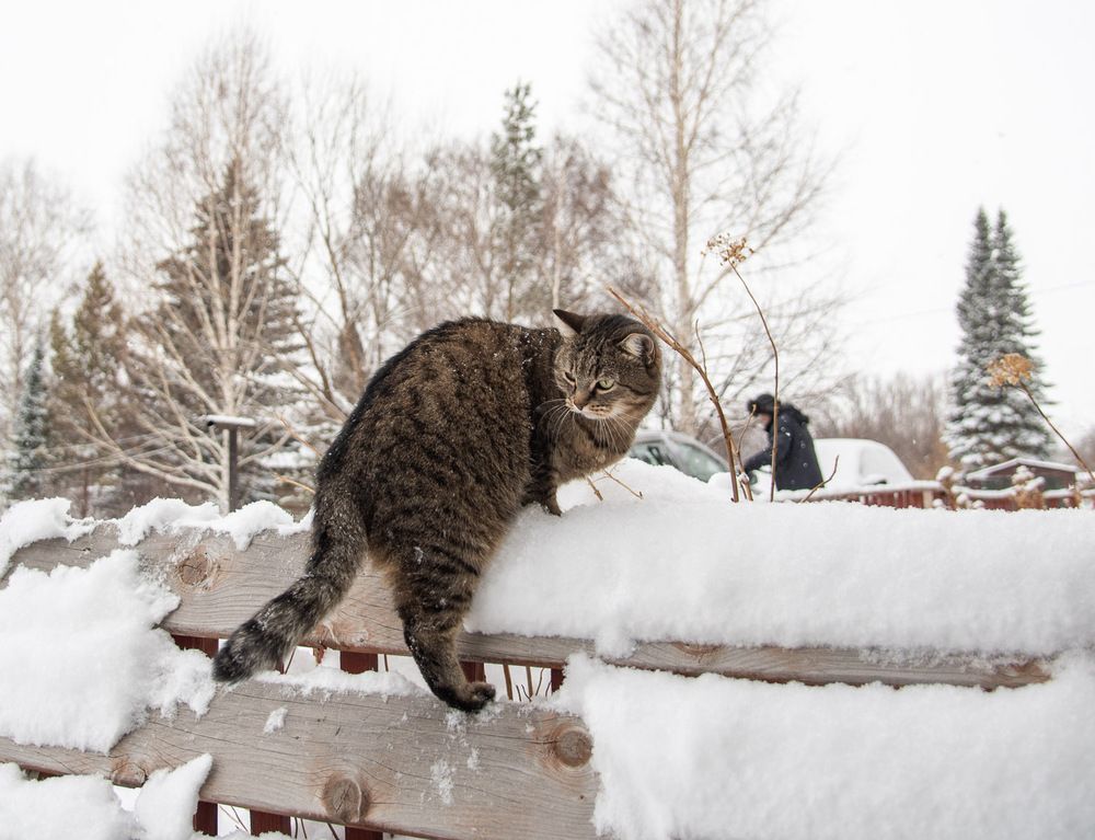 Photograph by Ирина Яук