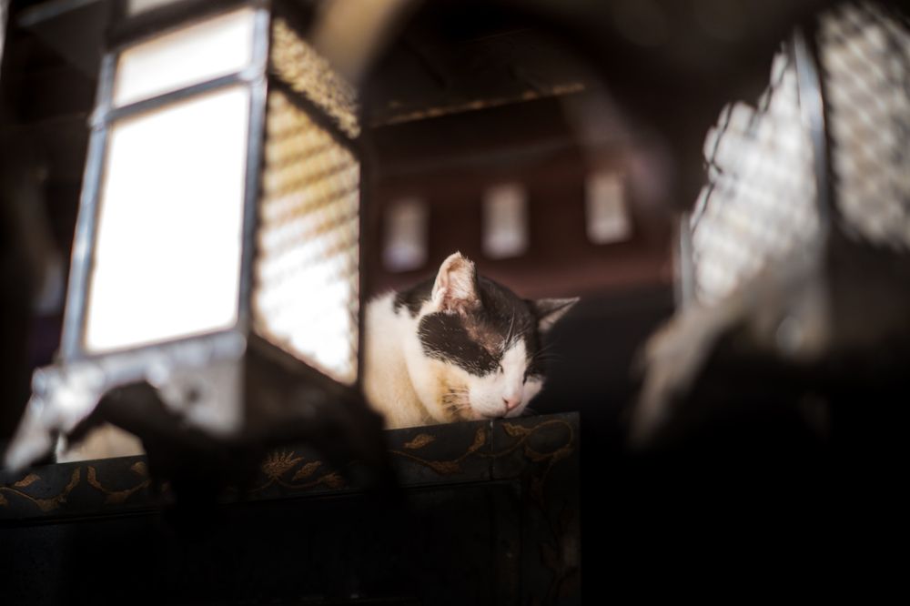 Photograph by AKAO TAITO