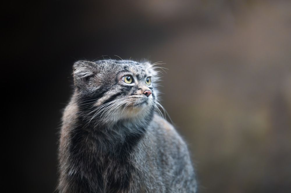 Photograph by AKAO TAITO