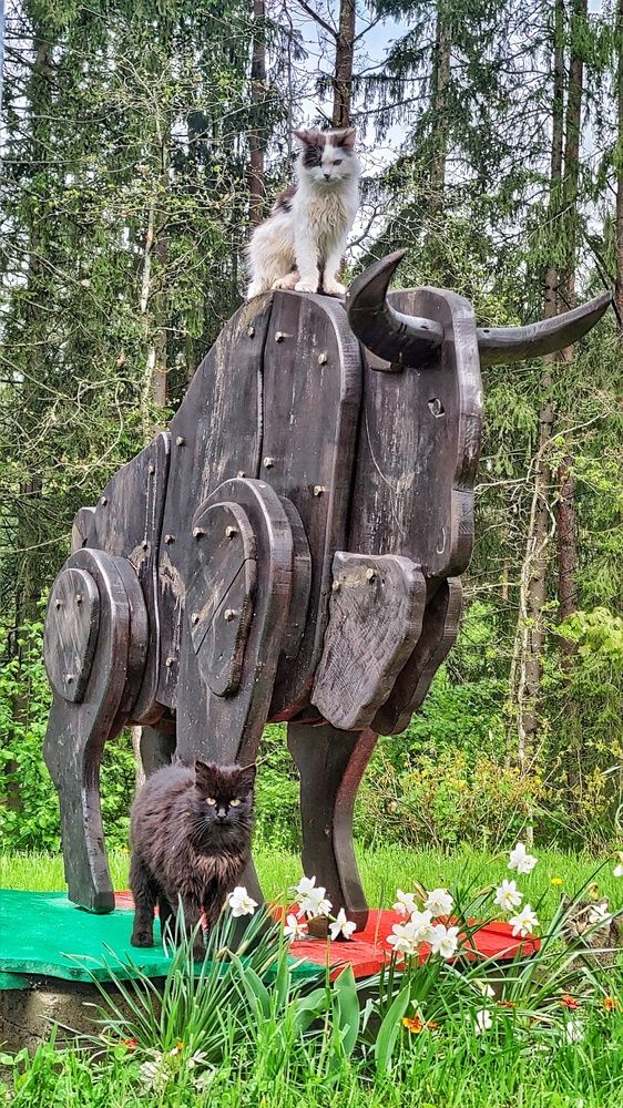 Фотография автора Максим Светличный