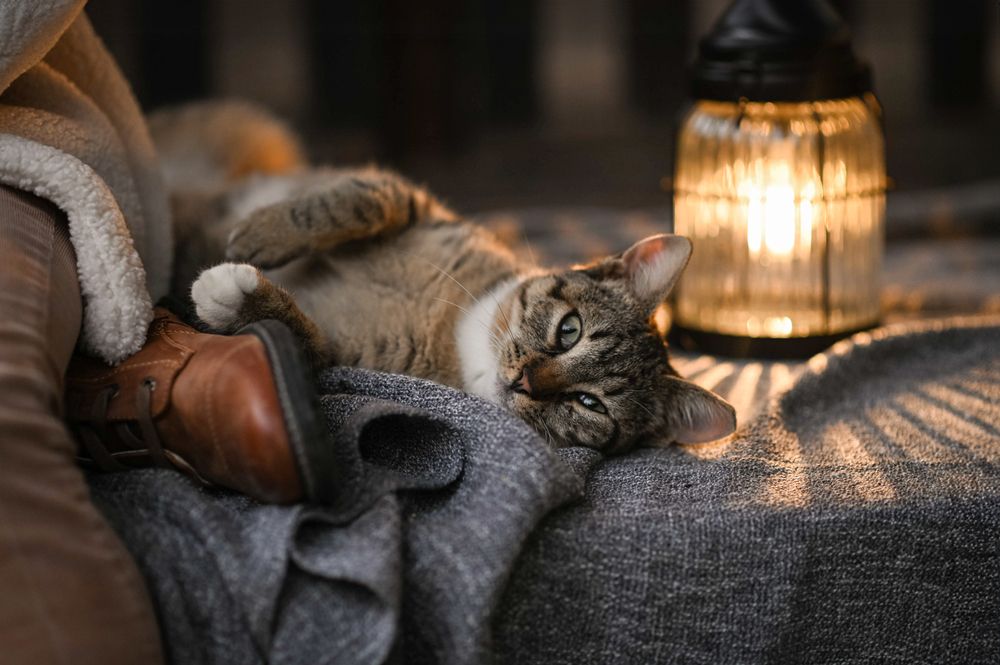 Photograph by Maria Andreeva