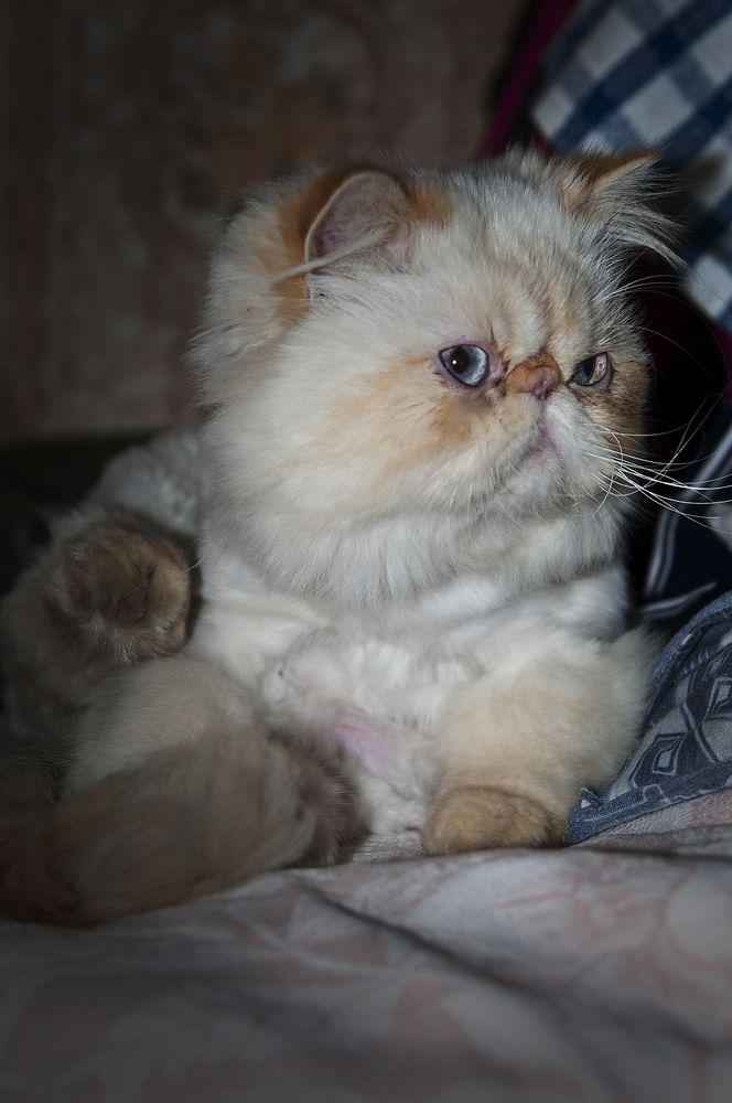 Photograph by Наталья Дроздова