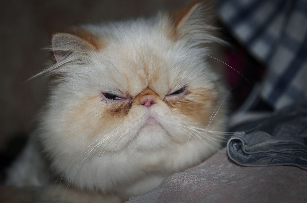 Photograph by Наталья Дроздова