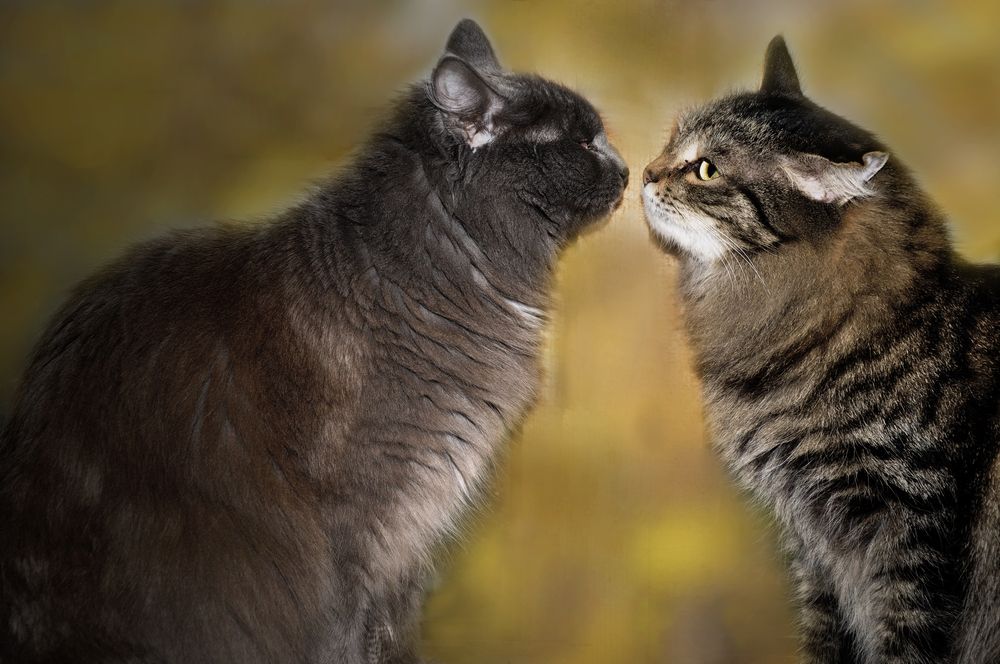 Photograph by Наталья Дроздова