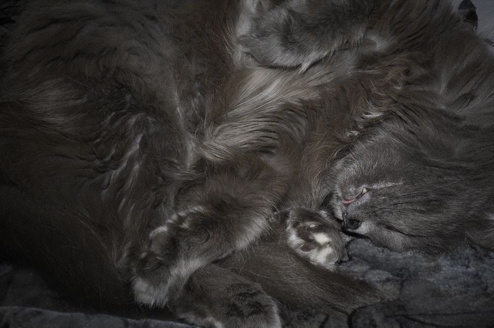 Photograph by Наталья Дроздова