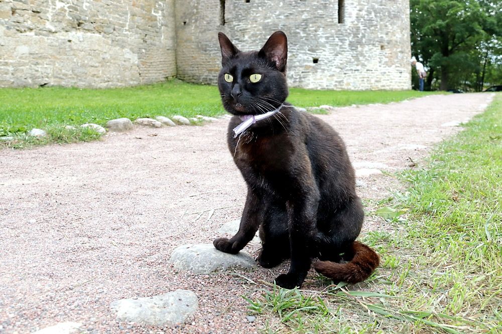 Photograph by Александр Лазебник