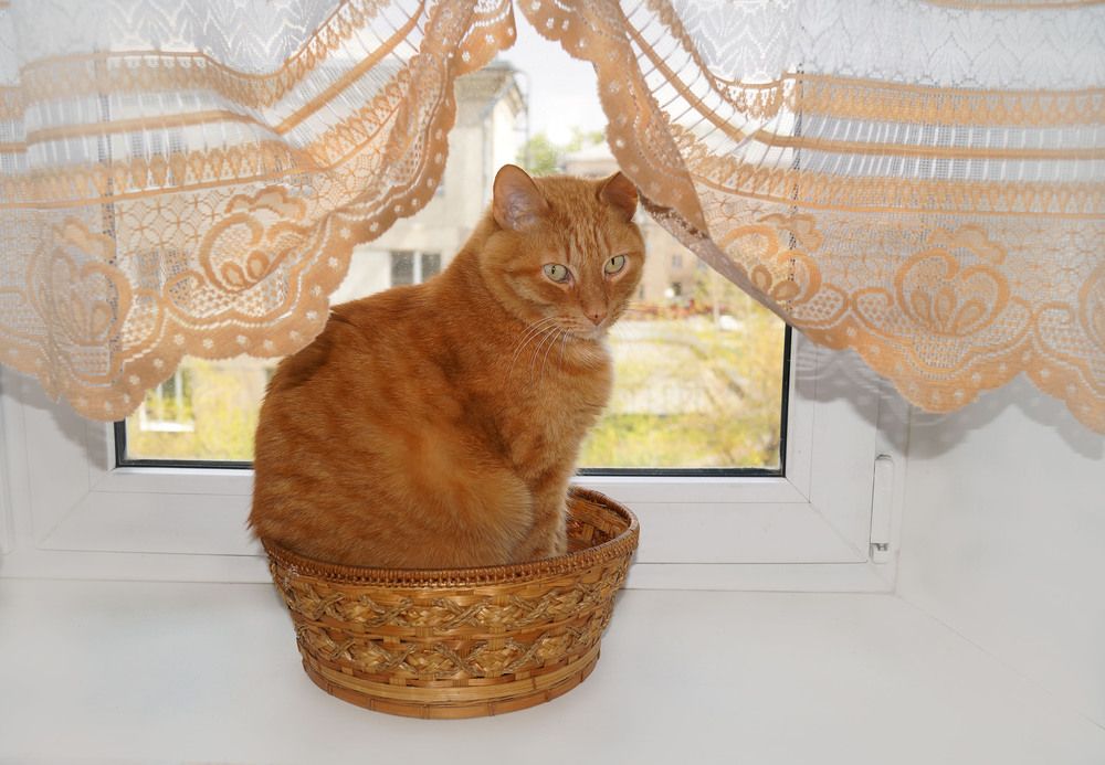 Photograph by Мишустина Татьяна