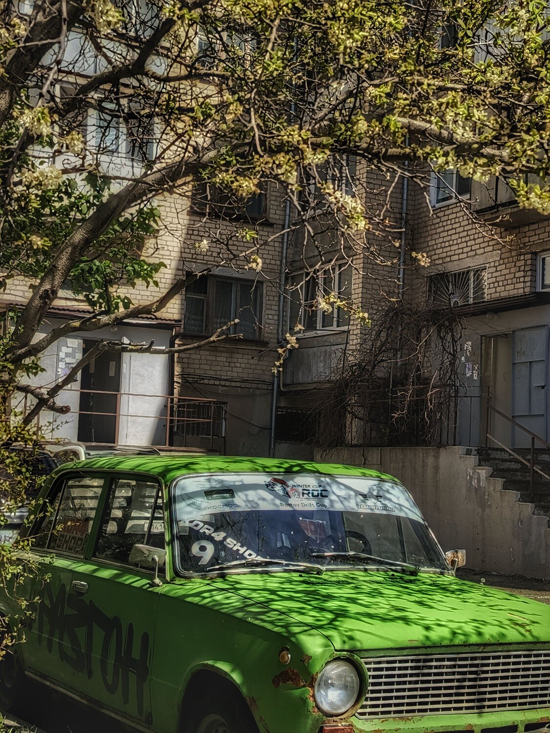 Photo #12227657