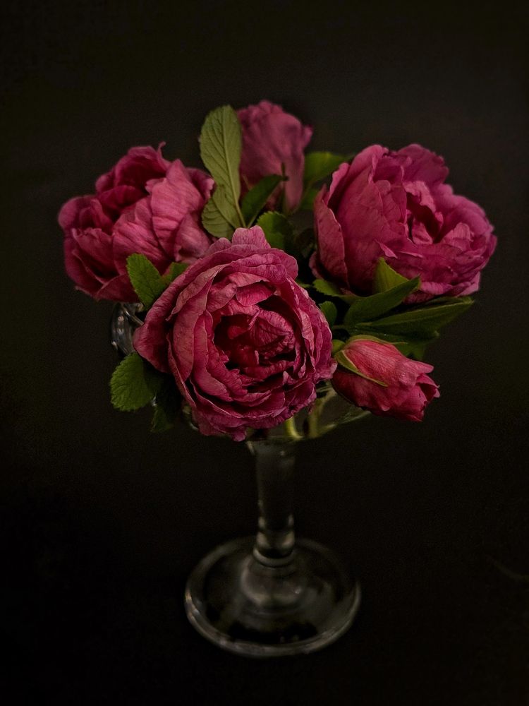 Photograph by Анна Ермак