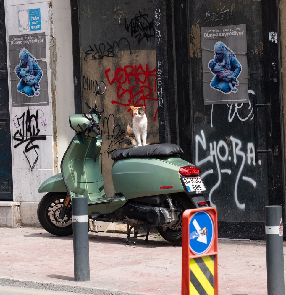 Photograph by Максим Захаров