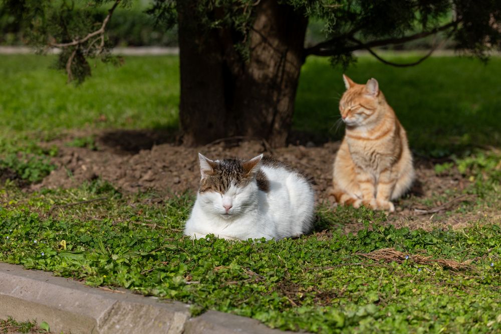 Photograph by Максим Захаров