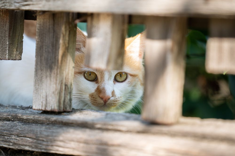 Photograph by Илья Гогунский