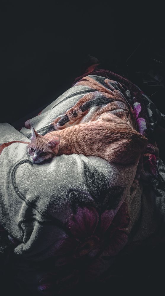 Photograph by Shahrzad Shahrokhi